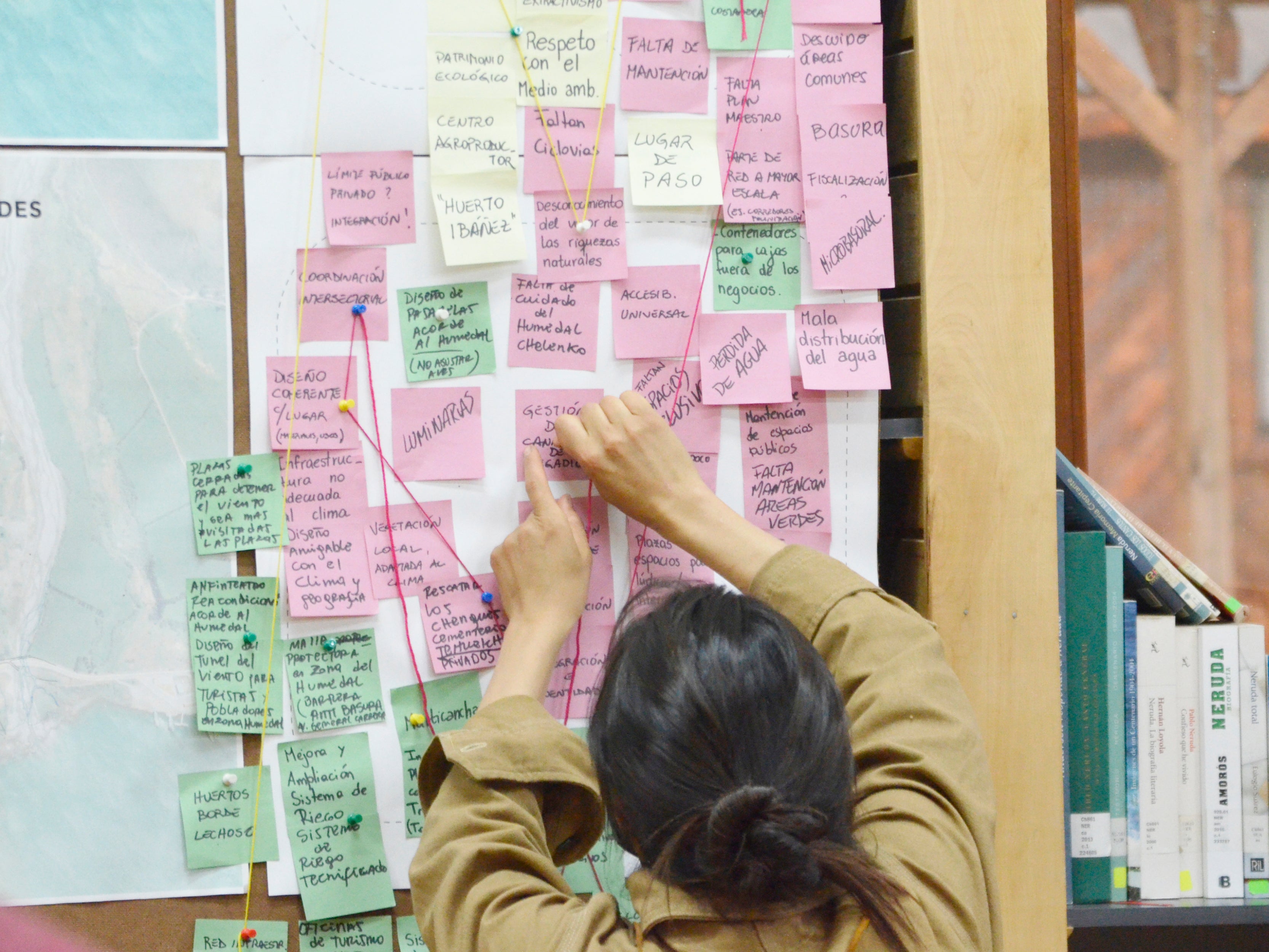 Plan Maestro de Áreas Verdes Puerto Ibáñez