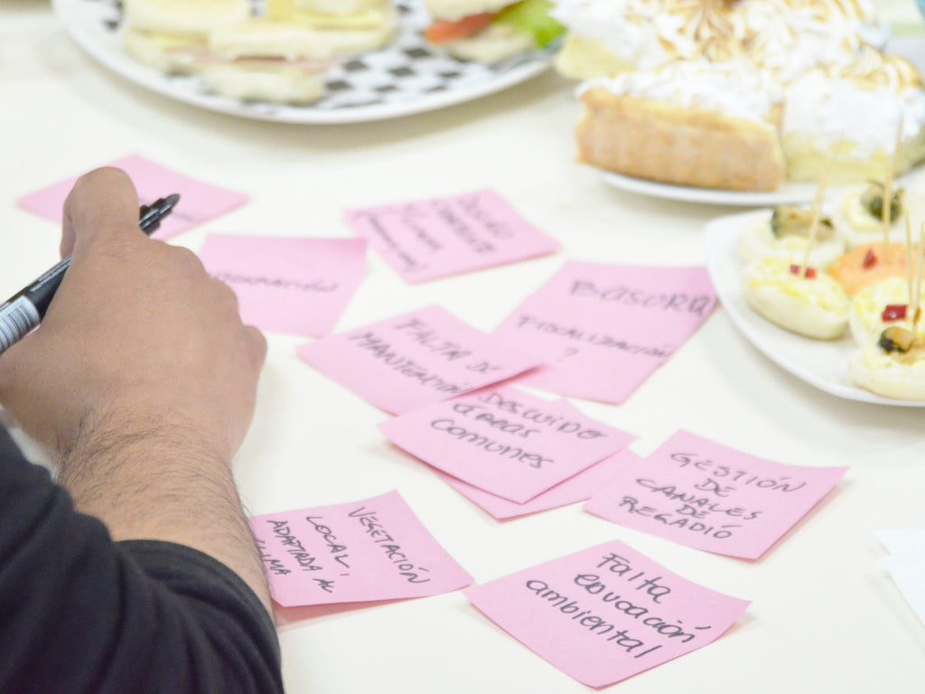 Plan Maestro de Áreas Verdes Puerto Ibáñez