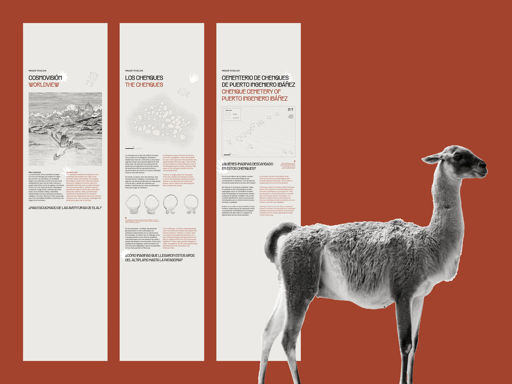 Museografía Mirador Tehuelche