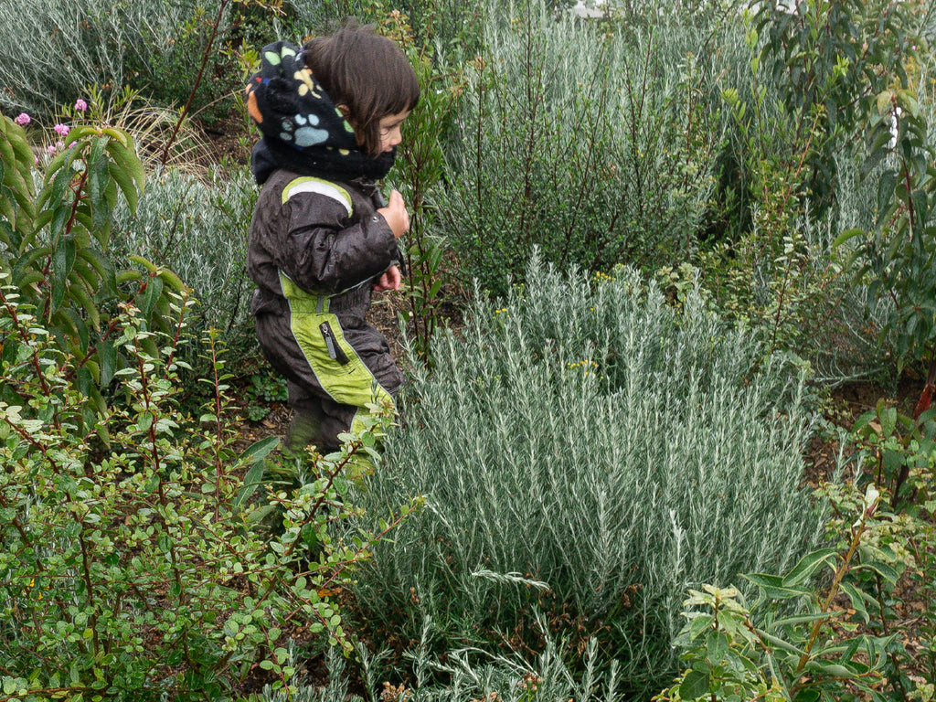 Bosque Miyawaki Jardín Infantil Gabriela Mistral