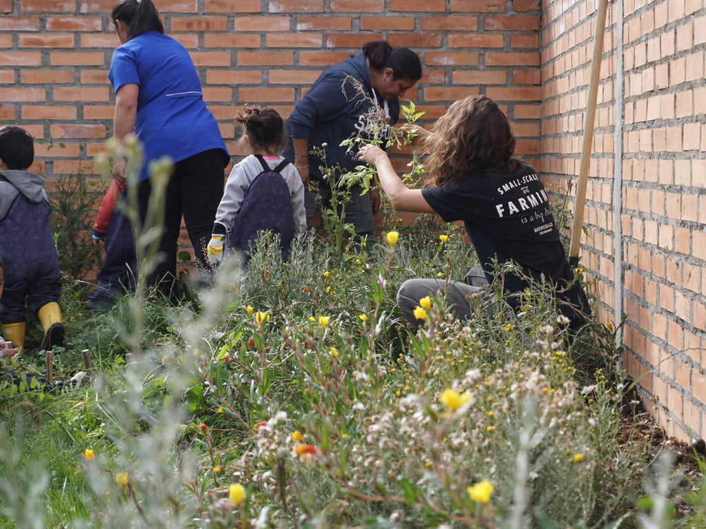 Bosque Miyawaki Jardín Infantil El Paraíso
