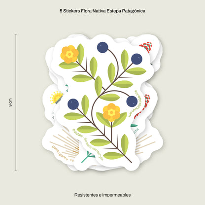 Cajita Guardián de la Estepa