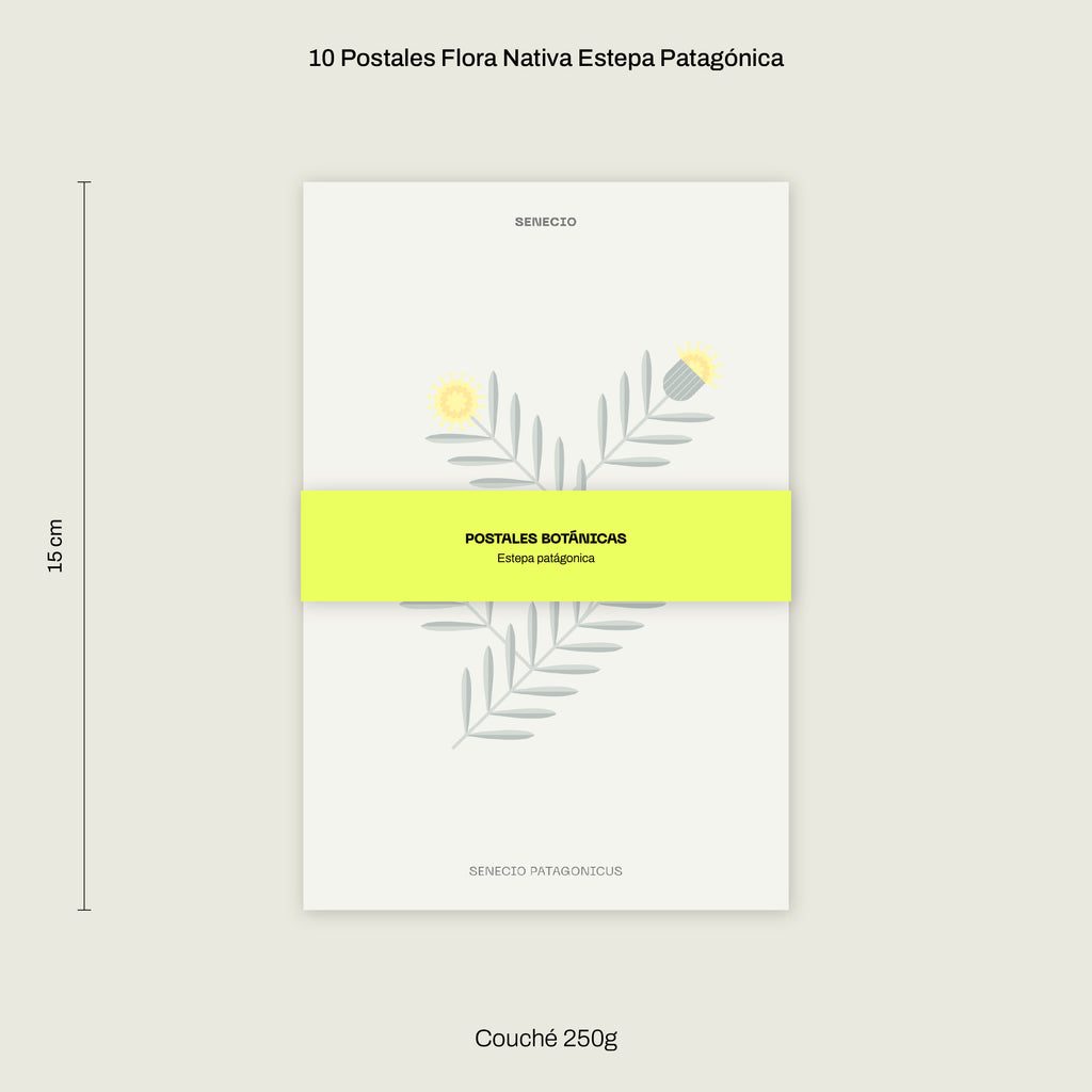 Cajita Guardián de la Estepa