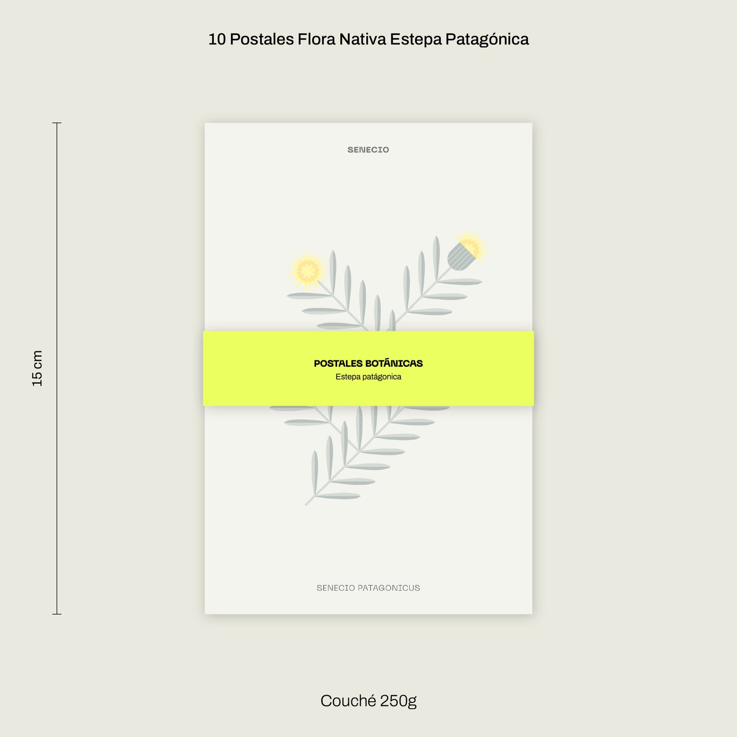 Cajita Guardián de la Estepa