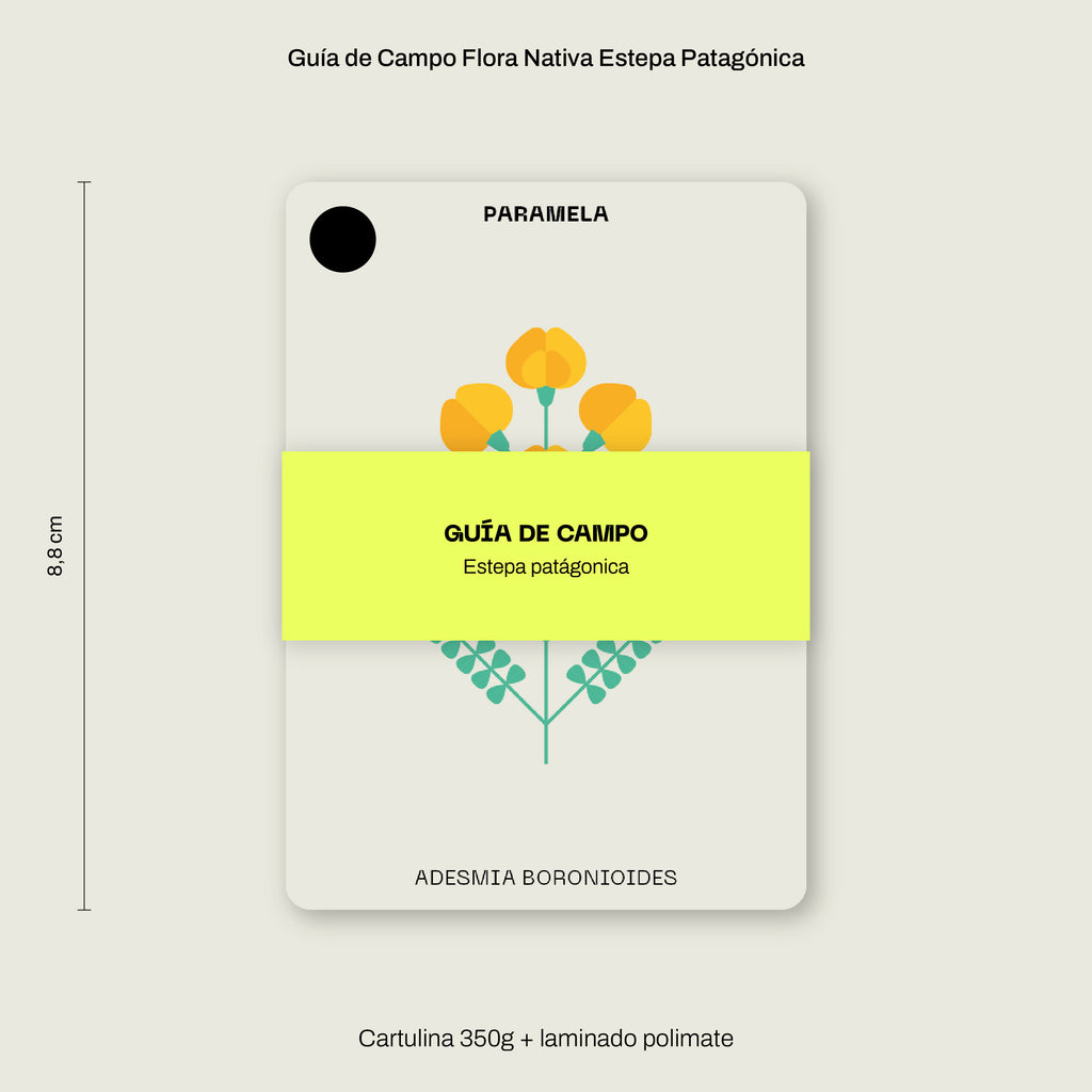 Cajita Guardián de la Estepa