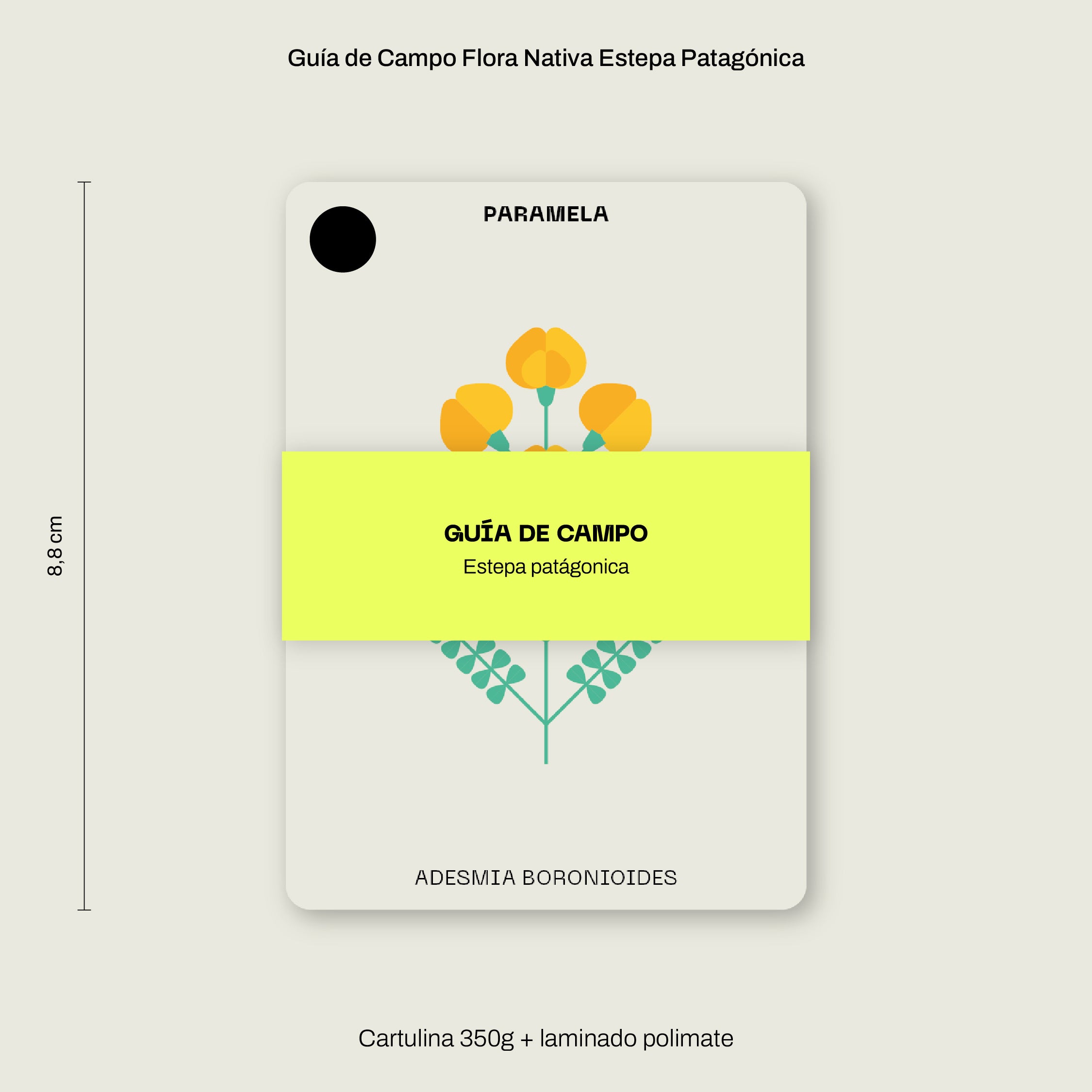 Cajita Guardián de la Estepa