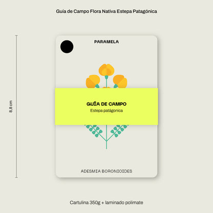 Cajita Guardián de la Estepa