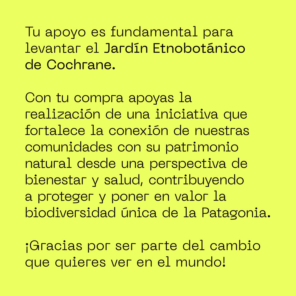 Cajita Guardián de la Estepa