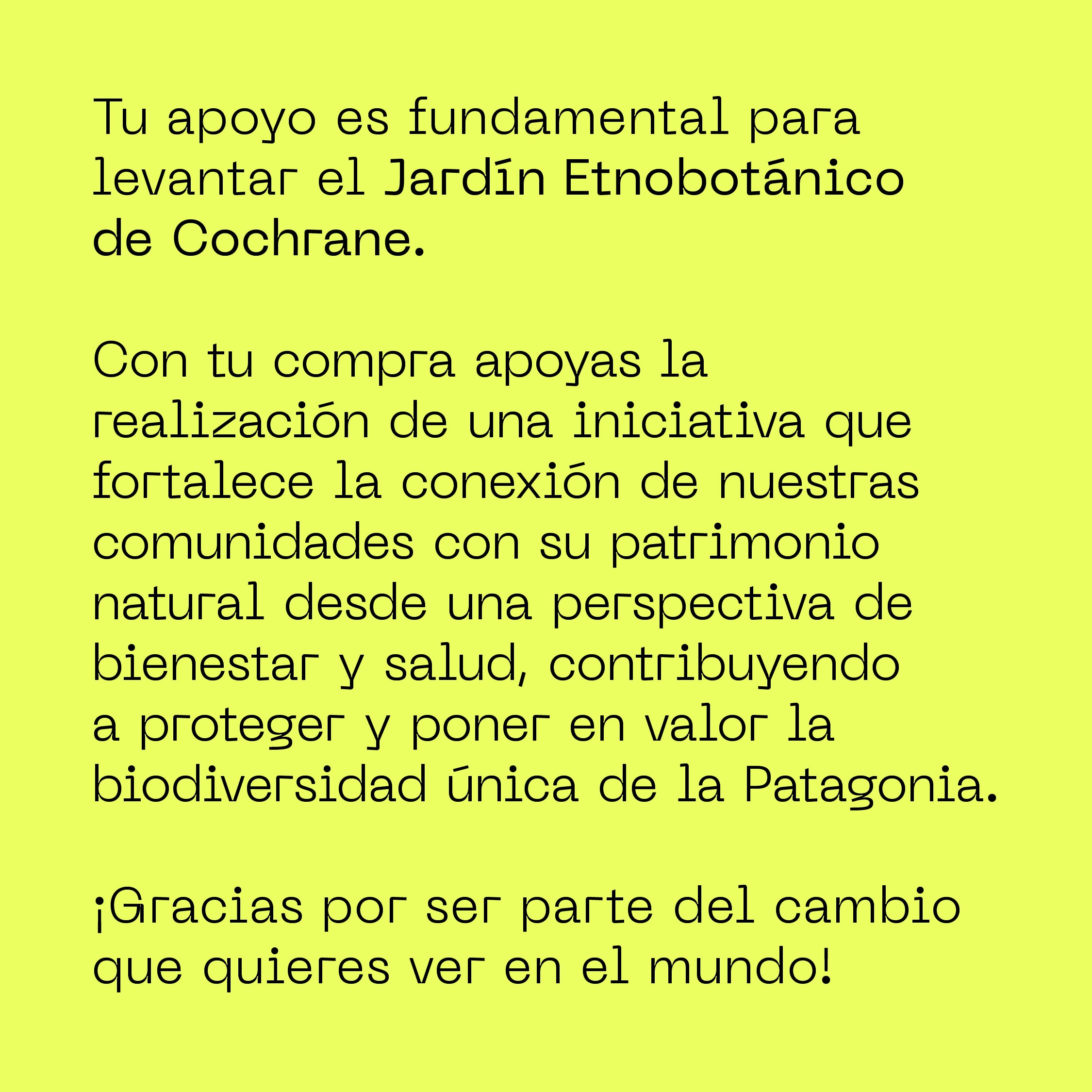 Cajita Guardián de la Estepa