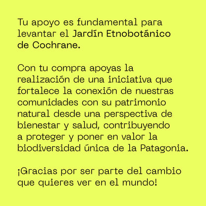 Cajita Guardián de la Estepa