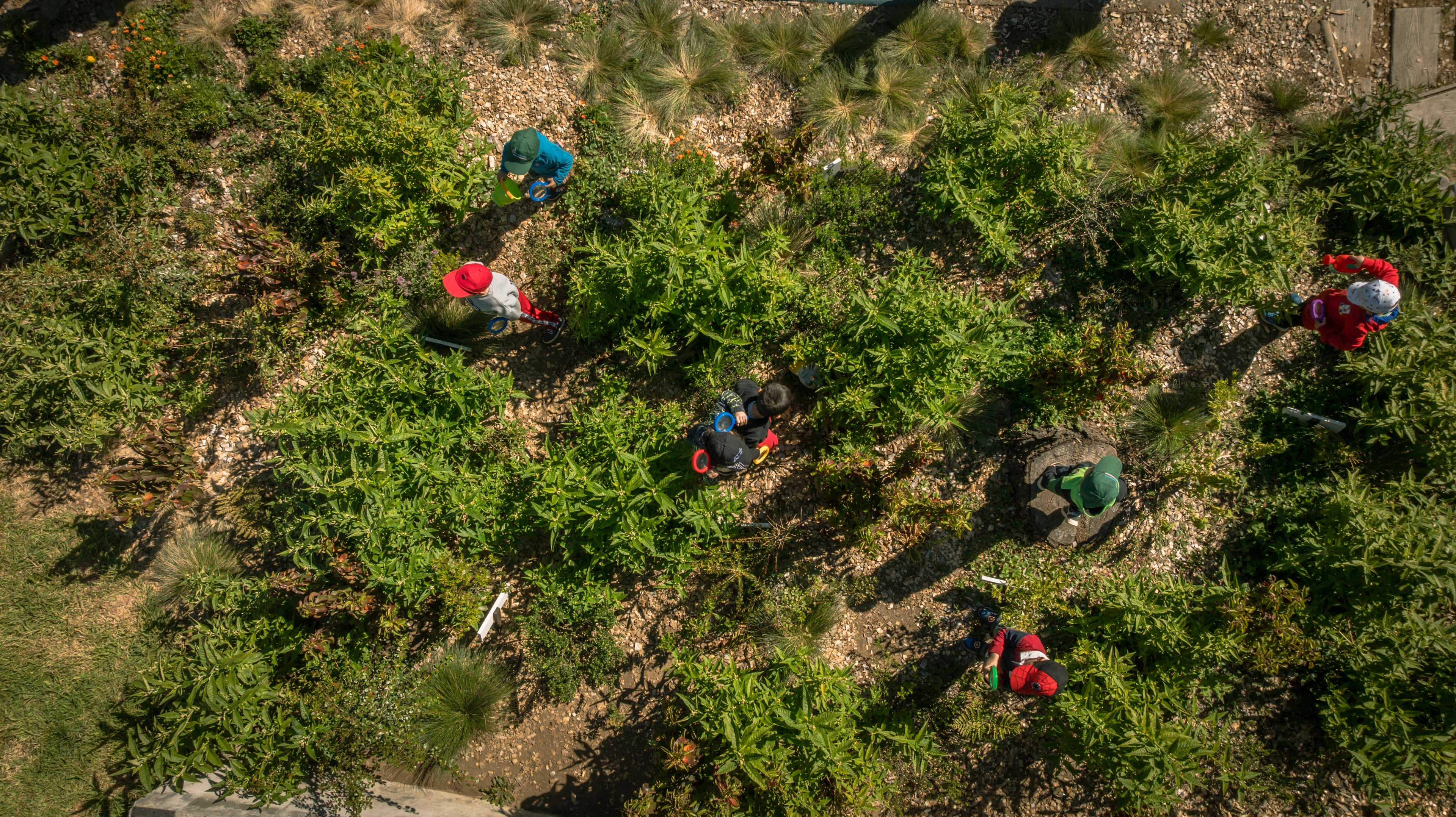 Bosque Miyawaki Jardín Infantil Gabriela Mistral