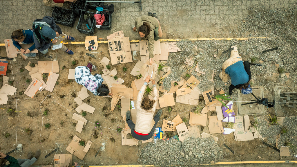 De Bandejón Urbano a Conector Ecológico