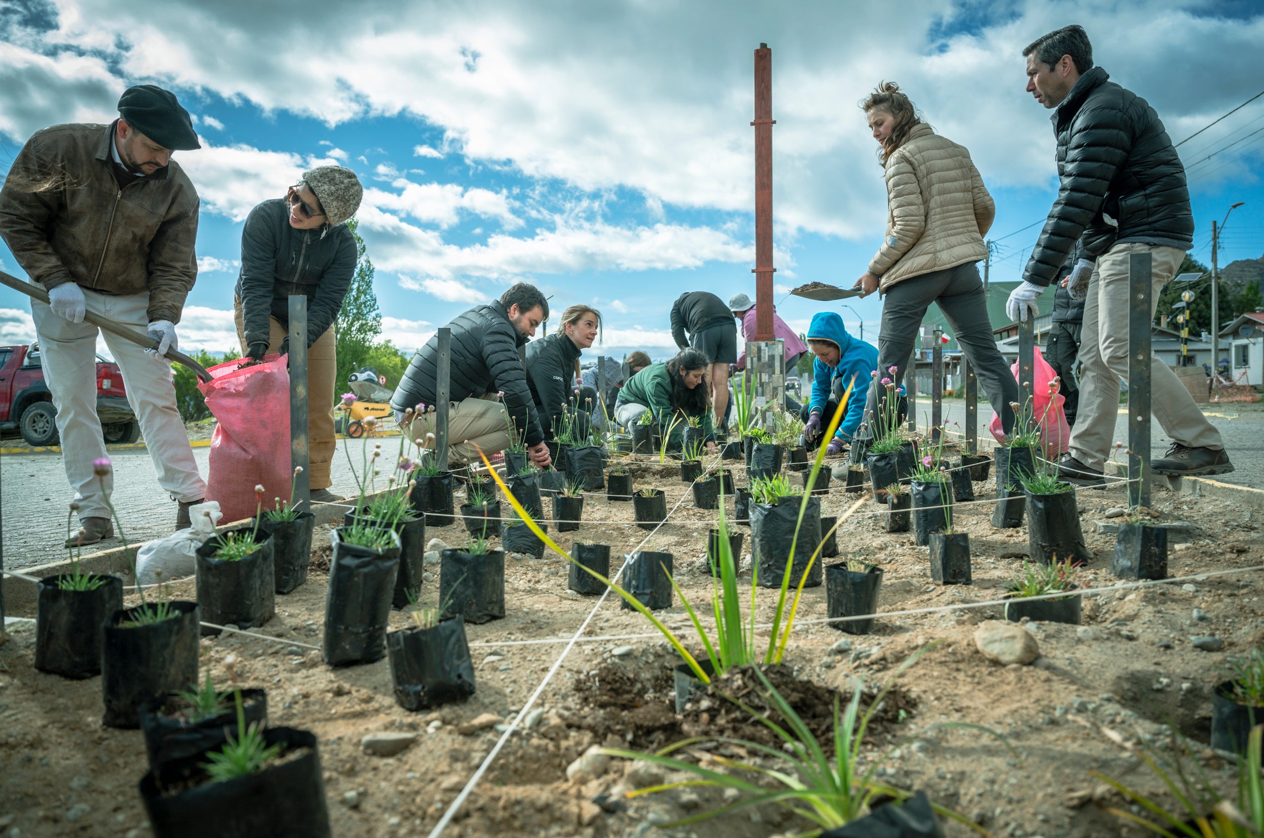 De Bandejón Urbano a Conector Ecológico