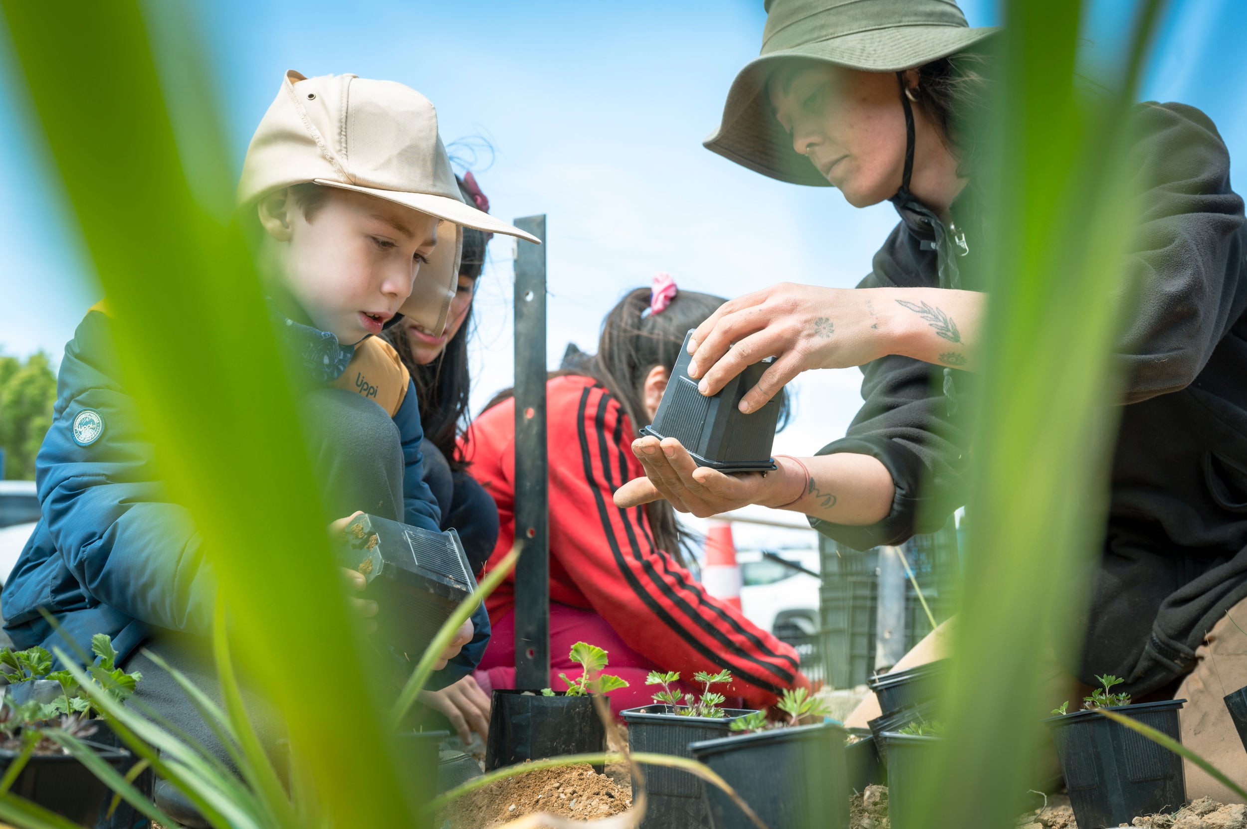 De Bandejón Urbano a Conector Ecológico