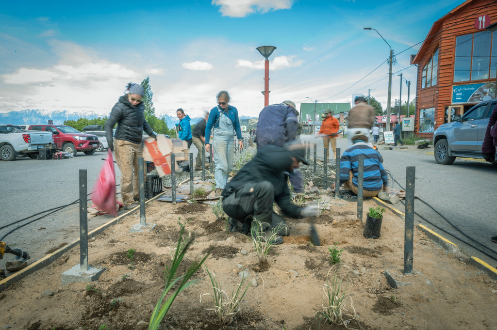 De Bandejón Urbano a Conector Ecológico