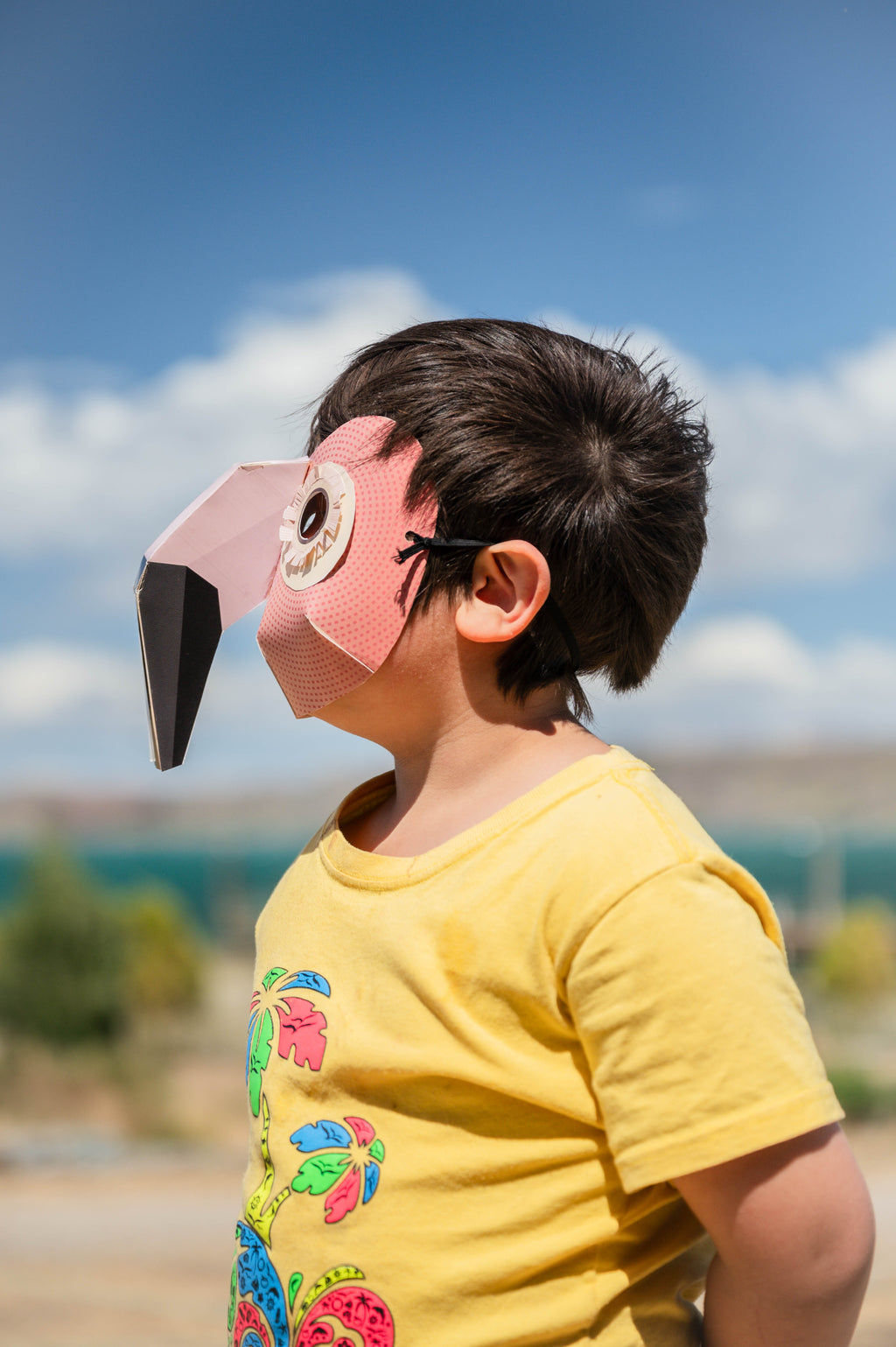 Máscaras de Papel Aves del Humedal